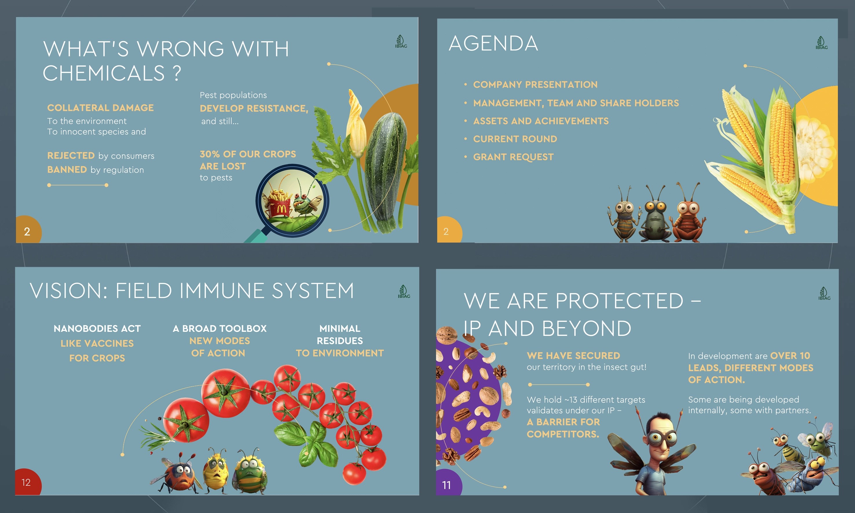 IBIAG pitch deck slides – problem with chemicals, agenda, vision and IP