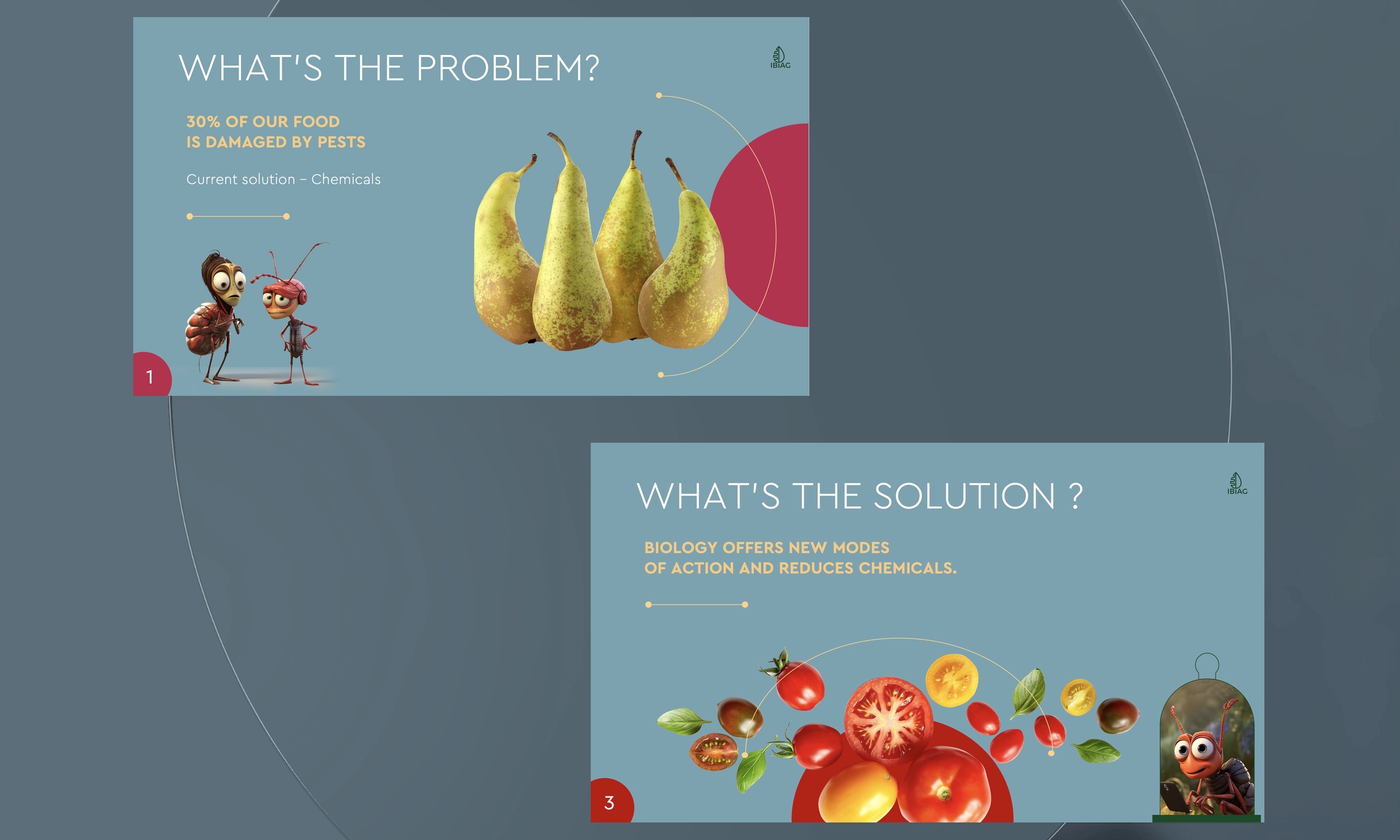IBIAG pitch deck slides – the problem and the solution