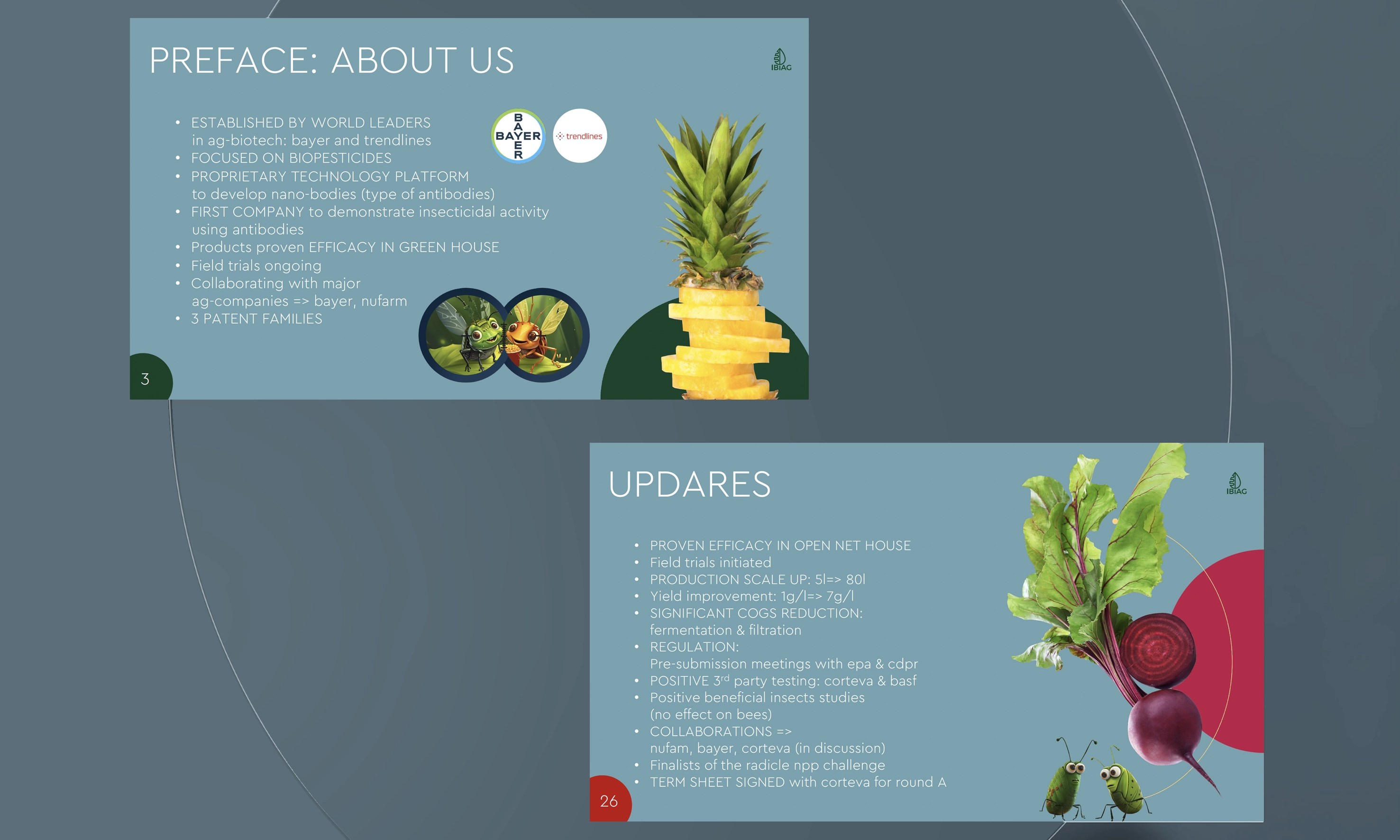 IBIAG pitch deck slides – about the company and updates