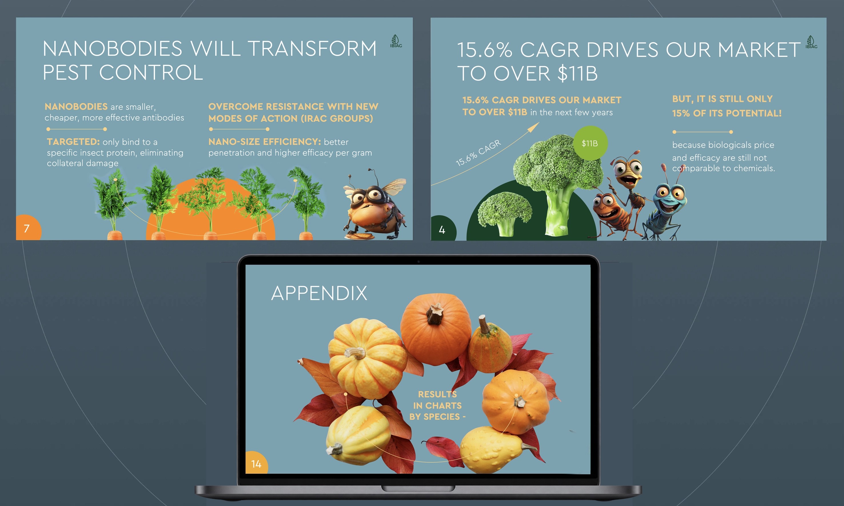 IBIAG pitch deck slides – nanobodies, market size and appendix
